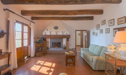 Cellole - Cellole 1 (CTC150) 4