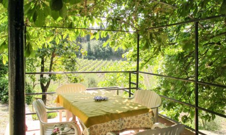 Cellole - Cellole 1 (CTC150) 2