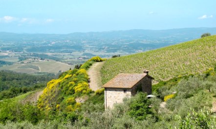 Cellole - Valluccia Apartment 5 1