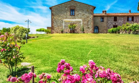 Vanessa Holiday Home 5 5