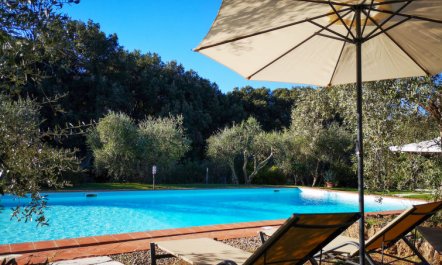 Il Boschetto Apartment 2 2