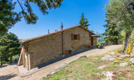 Madonna Apartment 2 7