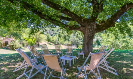 Podere San Giuseppe 5