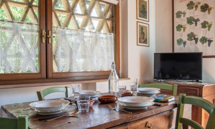 Podere Fontemaggio - Fienile Apartment 2 7