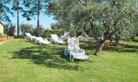 Linearis D Apartment 8 6