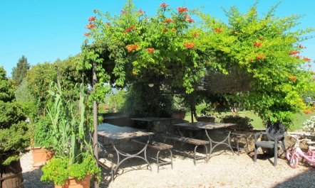 Linearis J Apartment 3 6