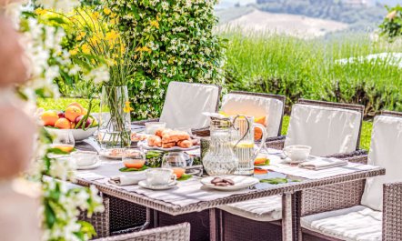 Chateau Le Siroque 5