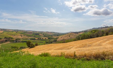 I Due Carpini Apartment 2 7