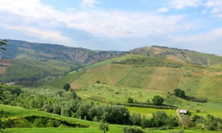 I Due Carpini Apartment 2 6