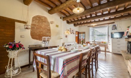 Green Wellness House 5