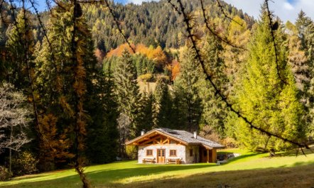 Baita Valon Alpine Hideaway 4