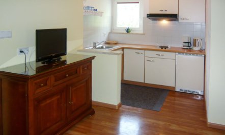 Ringberg Apartment 8 6