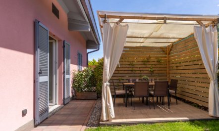 Gelsomini (CCO520) 2