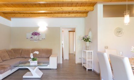 Gelsomini (CCO520) 6