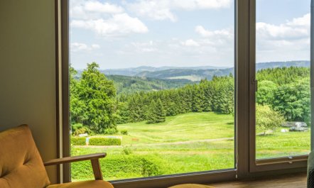 de luxe H751 mit Panoramasauna 1