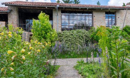 Borgo del Riondino 5