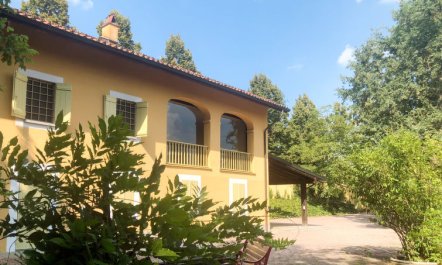 Giorgio Winery