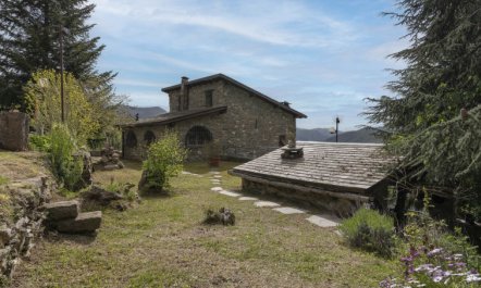 Villa tra i Cedri 5