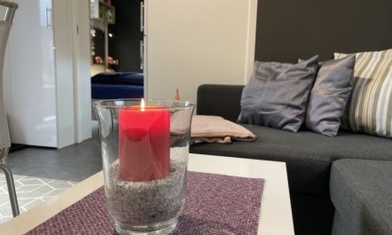 Tiny Haus Ulrike Holiday Home 2 6