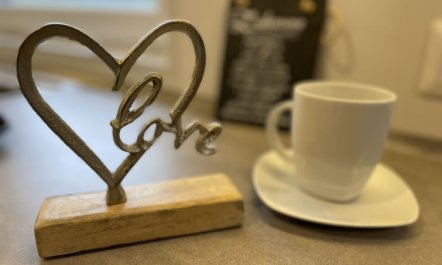 Tiny Haus Ela Holiday Home 13 2