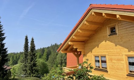 Chalet Toni mit Sauna