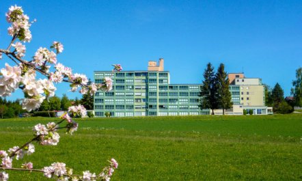 Löwenzahn (F 95) Apartment 48 7