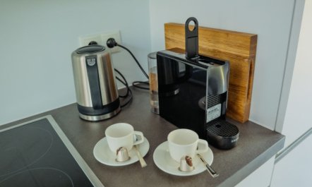 Floating Home-Hausboot in Mettlach Hafen 6