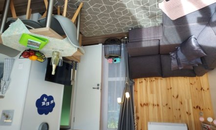 Tiny Haus Alex Holiday Home 3 6