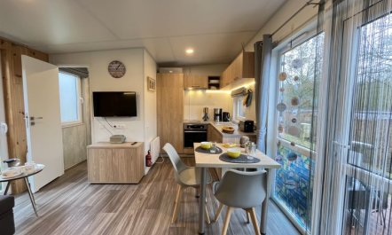 Tiny Haus Karin Holiday Home 18 1