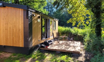 Tiny Haus Soul & Forest Holiday Home 5