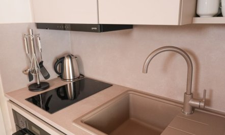 Beech Resort Plauer See 4