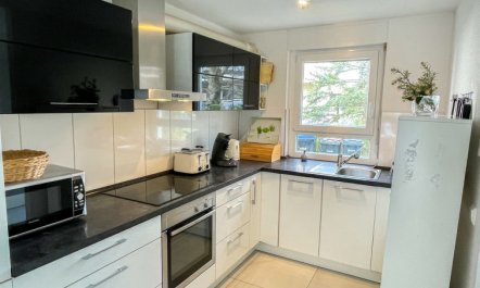 Ferienhaus Breisach 5