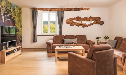 Altes Zollhaus Apartment 2 5