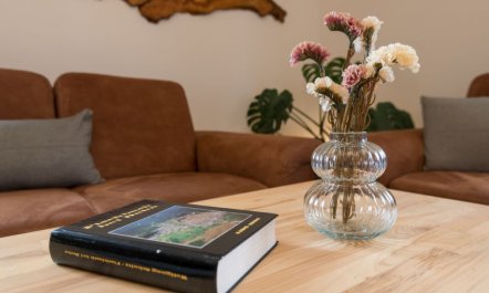 Altes Zollhaus Apartment 2 6