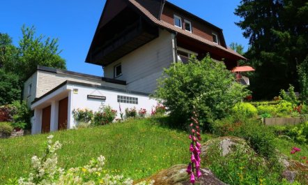 Blackforest Birdnest