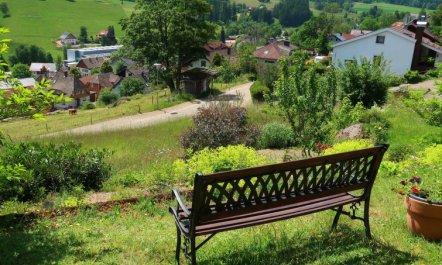 Blackforest Birdnest 7