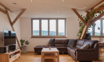 Altes Zollhaus Apartment 3 6