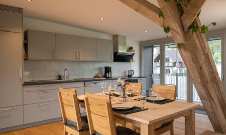 Altes Zollhaus Apartment 3 1