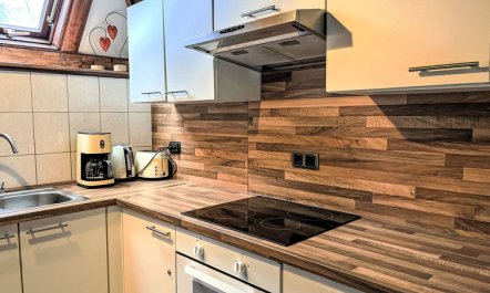 Tim´s Alm am Silbersee Holiday Home 2 4