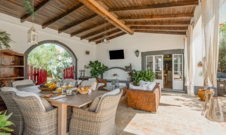 Quintal das Oliveiras 2