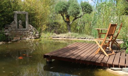 Quintal das Oliveiras 4