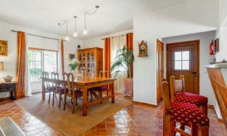 Quintal das Oliveiras 5