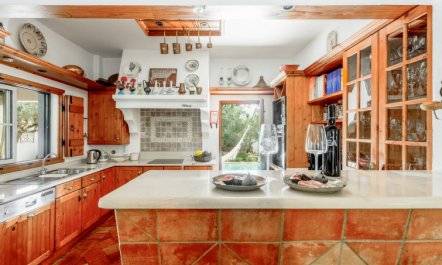 Quintal das Oliveiras 6