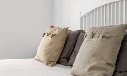 Quinta de Santa Emilia 1 4