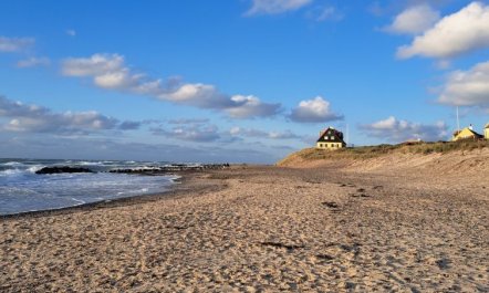 'Falk' - 900m from the sea 5