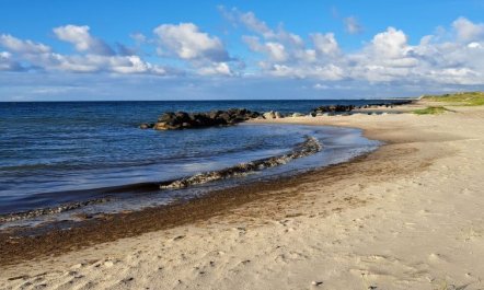 'Falk' - 900m from the sea 3