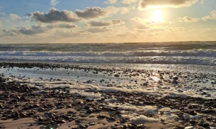 'Falk' - 900m from the sea 2