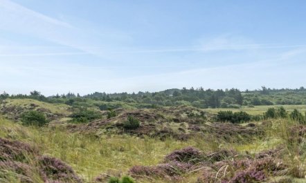 'Thorkil' - 800m from the sea 4