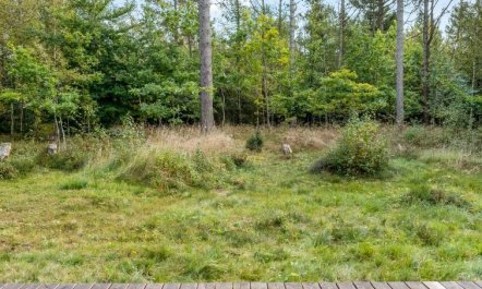 'Reinfried' - 250m from the sea 4