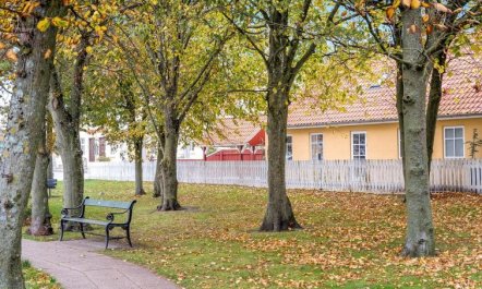 'Elsamaria' - 500m from the sea 3